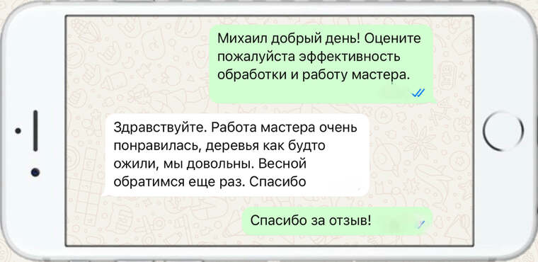 лечение деревьев от насекомых вредителей - фото №8