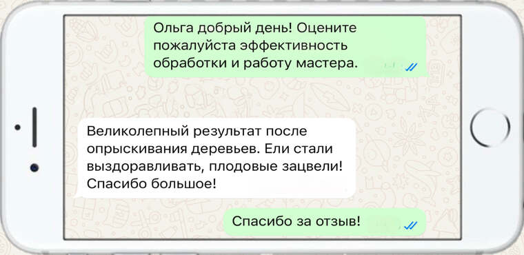 лечение деревьев от насекомых вредителей - фото №13