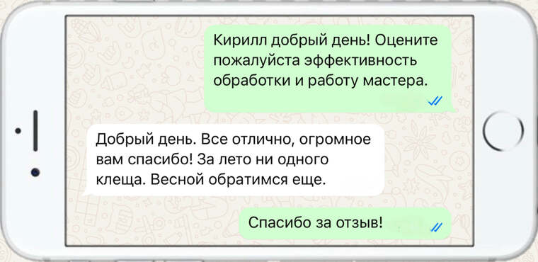 лечение деревьев от насекомых вредителей - фото №20
